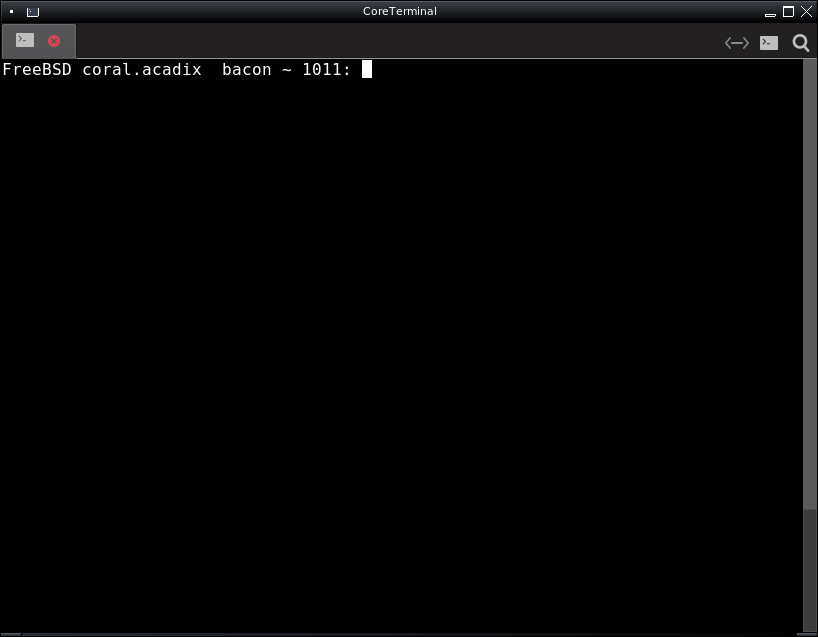 Terminal emulator