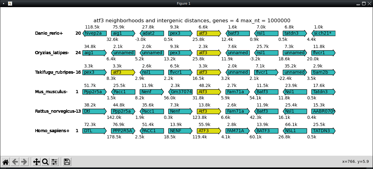 Visualizing Gene Neighborhoods with Matplotlib